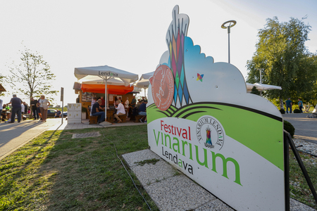 foto Maja Modrinjak_Vinarium 2025-104